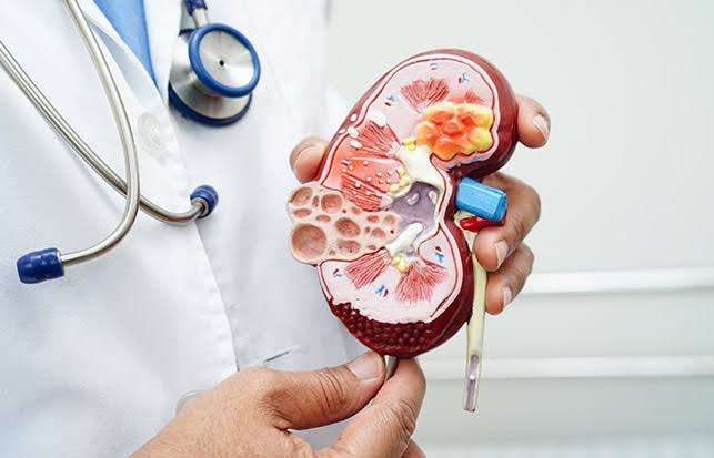 Urology and kidney treatment